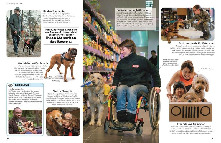 Produktbild: memo Wissen. Hunde