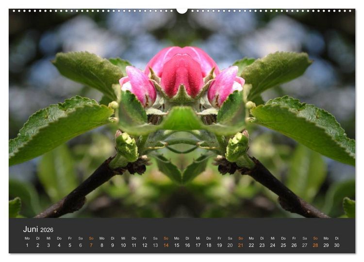 Produktbild: Spiegelwelten - Im Reich der Naturwesen (hochwertiger Premium Wandkalender 2026 DIN A2 quer), Kunstdruck in Hochglanz