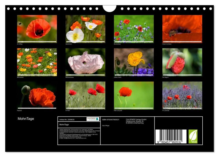 Produktbild: MohnTage (Wandkalender 2026 DIN A4 quer), CALVENDO Monatskalender