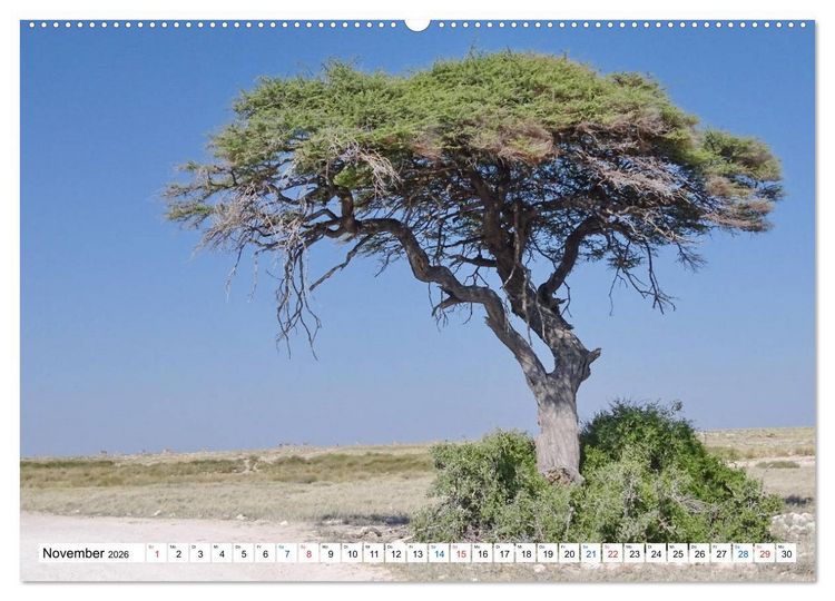 Produktbild: Namibia, Faszination W&uuml;ste und Tierwelt (hochwertiger Premium Wandkalender 2026 DIN A2 quer), Kunstdruck in Hochglanz