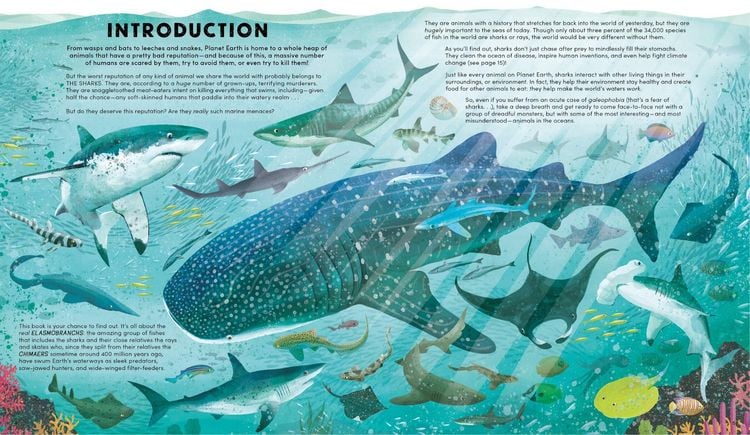 Produktbild: Everything You Know about Sharks Is Wrong!