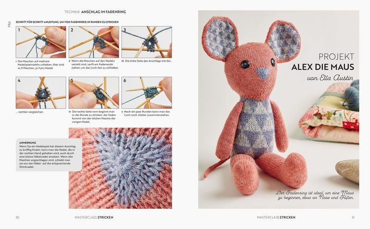 Produktbild: Masterclass Stricken