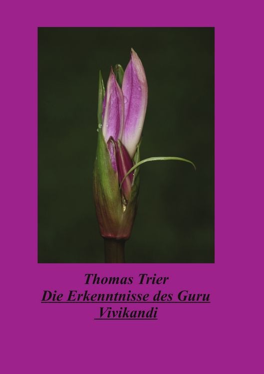 Produktbild: Die Erkenntnisse des Guru Vivikandi