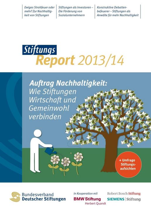 Produktbild: StiftungsReport 2013/14