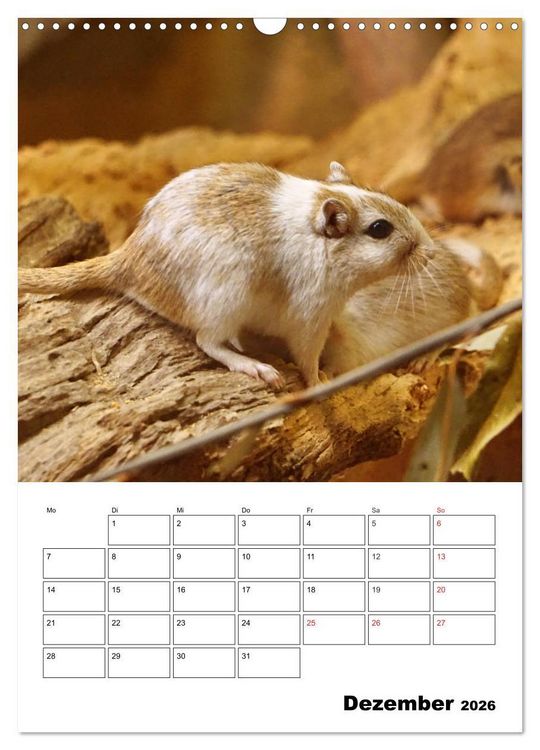 Produktbild: Lustige Rennm&auml;use (Wandkalender 2026 DIN A3 hoch), CALVENDO Monatskalender