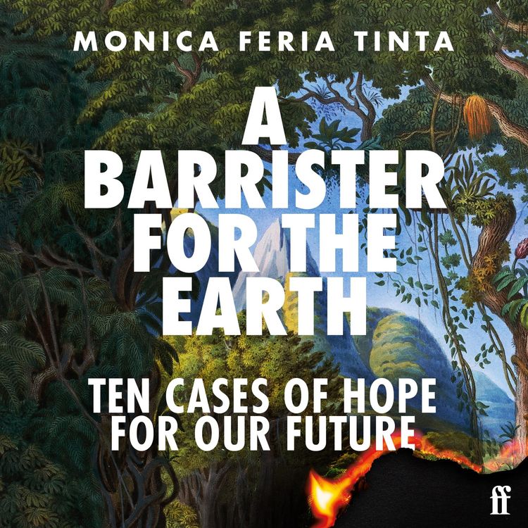 Produktbild: A Barrister for the Earth