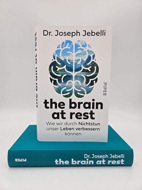 Produktbild: The brain at rest