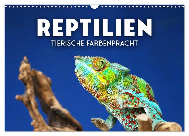 Produktbild: Reptilien - Tierische Farbenpracht (Wandkalender 2026 DIN A3 quer), CALVENDO Monatskalender