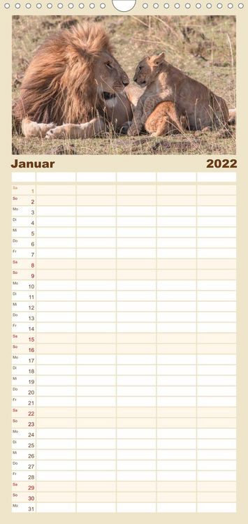 Produktbild: L&ouml;wen - Raubkatzen Afrikas - Familienplaner hoch (Wandkalender 2022 , 21 cm x 45 cm, hoch)