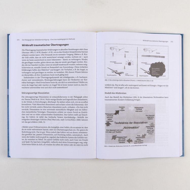 Produktbild: Handbuch Traumap&auml;dagogik