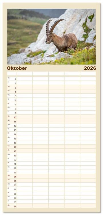 Produktbild: Familienplaner 2026 - Steinb&ouml;cke - Eindr&uuml;ckliche K&ouml;nige der Alpen mit 5 Spalten (Wandkalender, 21 x 45 cm) CALVENDO