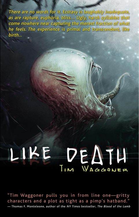 Produktbild: Like Death