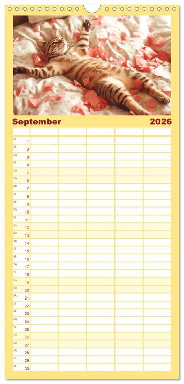 Produktbild: Familienplaner 2026 - Momente eines Katzenbesitzers - Chaos der Samtpfoten mit 5 Spalten (Wandkalender, 21 x 45 cm) CALVENDO