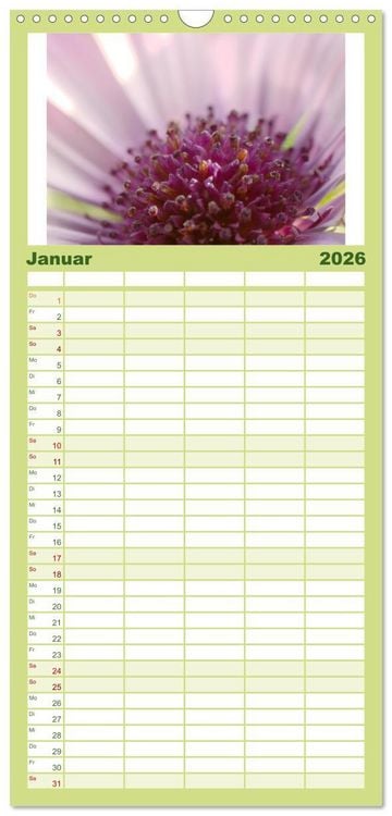 Produktbild: Familienplaner 2026 - Traum Blumen mit 5 Spalten (Wandkalender, 21 x 45 cm) CALVENDO