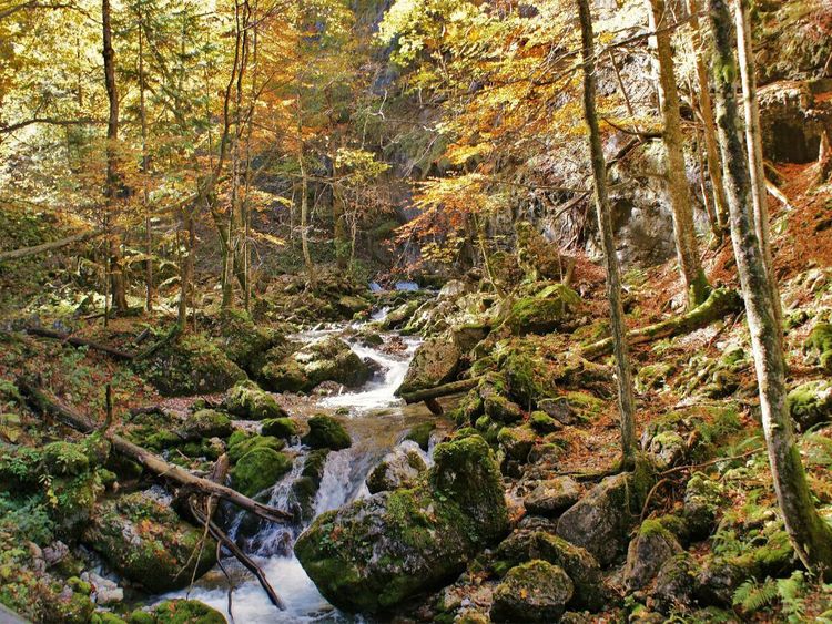 Produktbild: CALVENDO Puzzle Hartelsgraben | 1000 Teile Lege-Gr&ouml;&szlig;e 64x48cm Foto-Puzzle f&uuml;r gl&uuml;ckliche Stunden