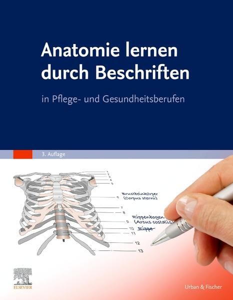 Produktbild: Anatomie lernen durch Beschriften