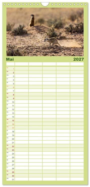 Produktbild: Familienplaner 2027 - Afrikas Tierwelt - Erdm&auml;nnchen mit 5 Spalten (Wandkalender, 21 x 45 cm) CALVENDO