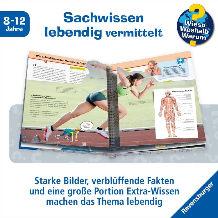Produktbild: Körper / Wieso? Weshalb? Warum? - Profiwissen Band 5