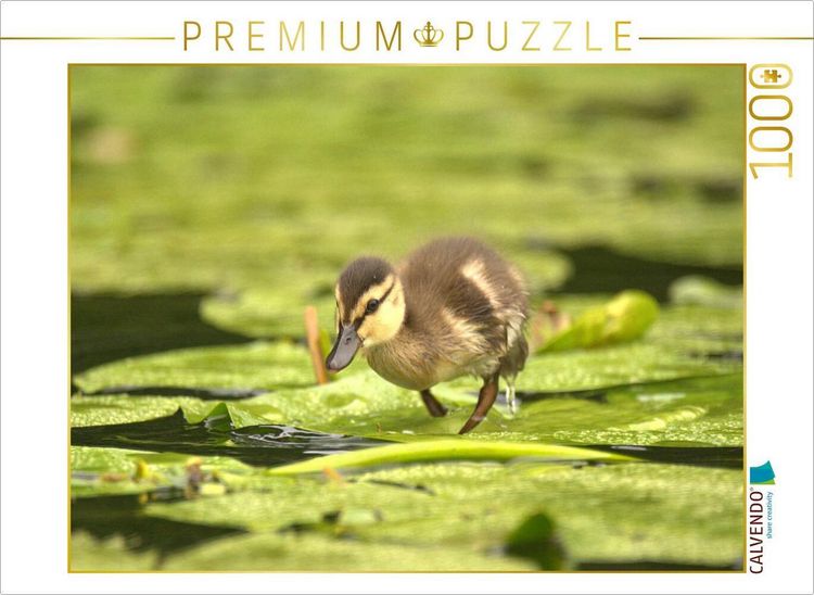 Produktbild: CALVENDO Puzzle S&uuml;&szlig;e Ente | 1000 Teile Lege-Gr&ouml;&szlig;e 64x48cm Foto-Puzzle f&uuml;r gl&uuml;ckliche Stunden