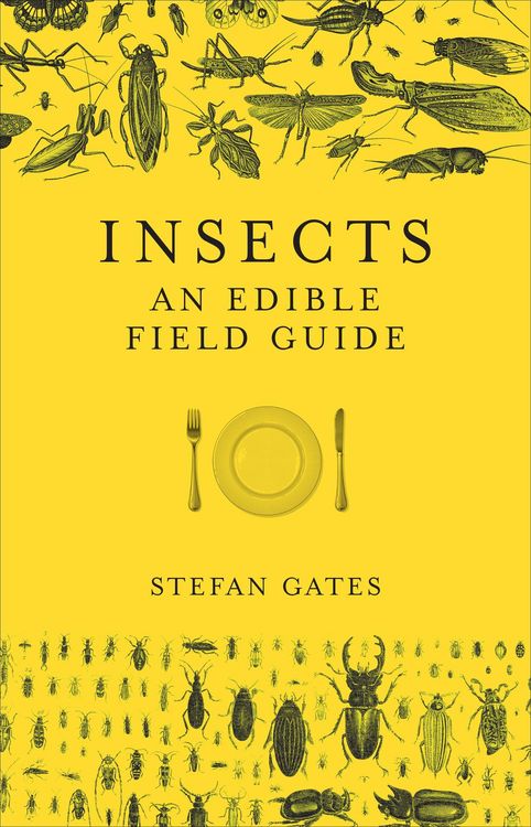 Produktbild: Insects: An Edible Field Guide
