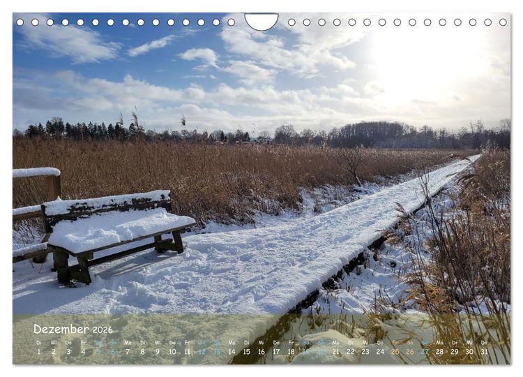 Produktbild: Moortr&auml;ume - Natursch&ouml;nheit in Bildern (Wandkalender 2026 DIN A4 quer), CALVENDO Monatskalender