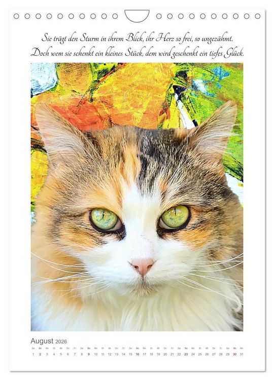 Produktbild: Katzenlyrik - Zw&ouml;lf Seelen auf Samtpfoten in Wort und Bild (Wandkalender 2026 DIN A4 hoch), CALVENDO Monatskalender