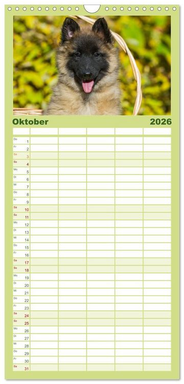 Produktbild: Familienplaner 2026 - Welpen 2026 mit 5 Spalten (Wandkalender, 21 x 45 cm) CALVENDO