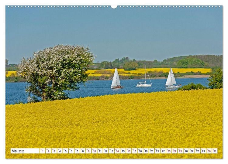Produktbild: Angeln - Landschaft zwischen Schlei und Flensburger F&ouml;rde (Wandkalender 2026 DIN A2 quer), CALVENDO Monatskalender
