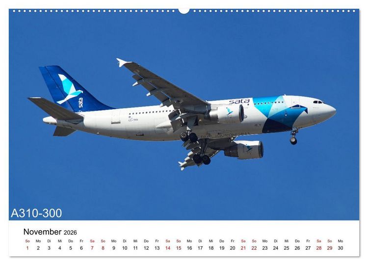 Produktbild: Flugzeuge von Airbus (Wandkalender 2026 DIN A2 quer), CALVENDO Monatskalender