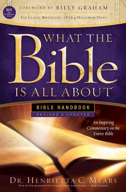 Produktbild: What the Bible Is All about NIV