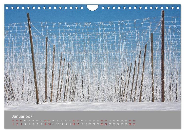Produktbild: Hallertau (Wandkalender 2027 DIN A4 quer), CALVENDO Monatskalender