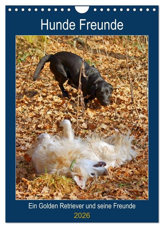 Produktbild: Hunde Freunde (Wandkalender 2026 DIN A4 hoch), CALVENDO Monatskalender