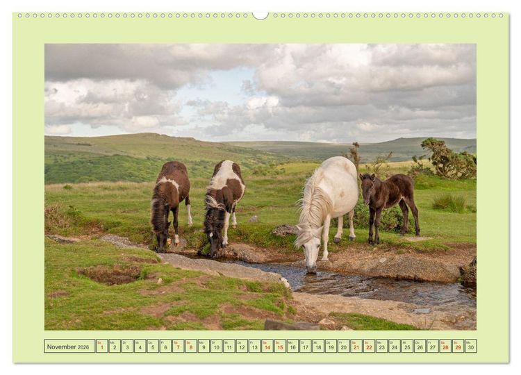 Produktbild: S&uuml;dengland pur (hochwertiger Premium Wandkalender 2026 DIN A2 quer), Kunstdruck in Hochglanz