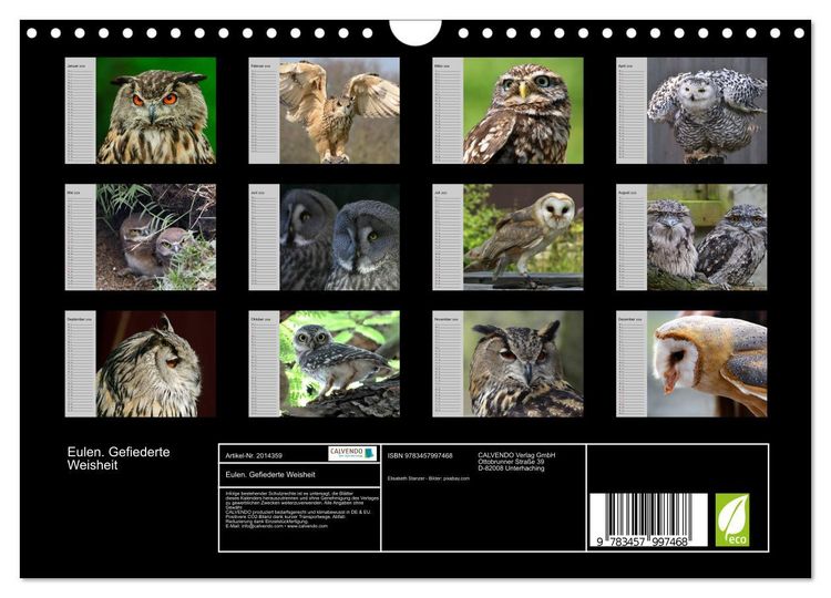 Produktbild: Eulen. Gefiederte Weisheit (Wandkalender 2026 DIN A4 quer), CALVENDO Monatskalender