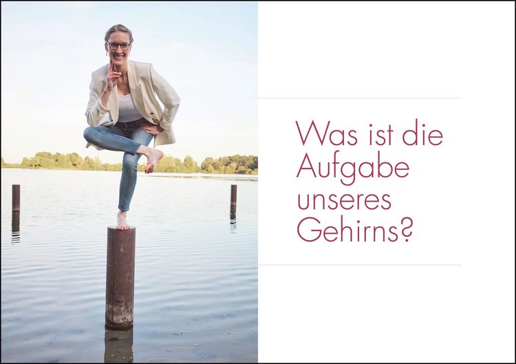 Produktbild: Der Yoga-Effekt