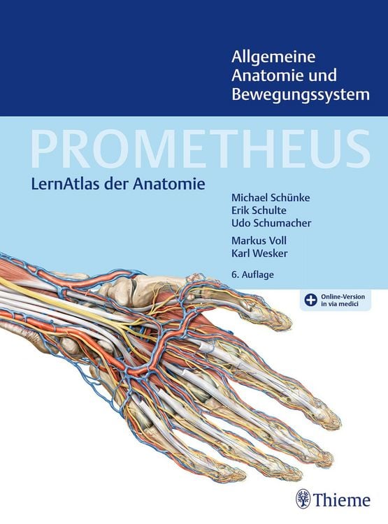 Produktbild: PROMETHEUS Allgemeine Anatomie und Bewegungssystem
