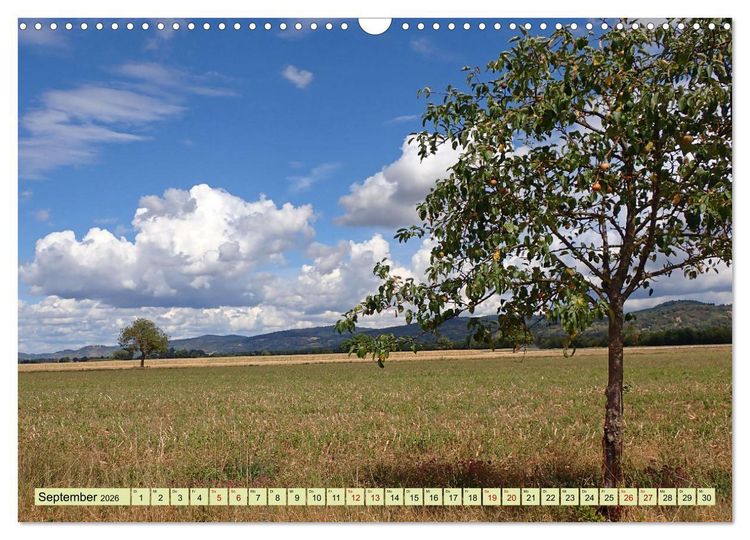 Produktbild: Weinregion Bergstra&szlig;e Burgen, Wein und Mandelbl&uuml;te (Wandkalender 2026 DIN A3 quer), CALVENDO Monatskalender
