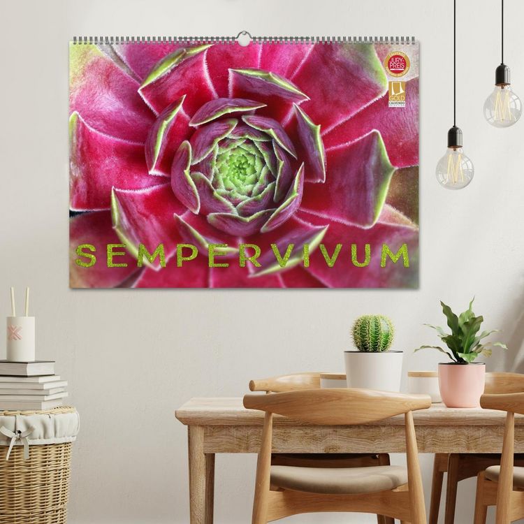 Produktbild: Sempervivum - Hauswurz (Wandkalender 2026 DIN A2 quer), CALVENDO Monatskalender