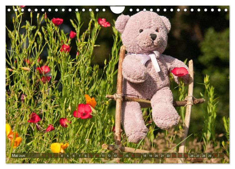 Produktbild: Kunterbunte B&auml;renwelt - Teddys (Wandkalender 2026 DIN A4 quer), CALVENDO Monatskalender