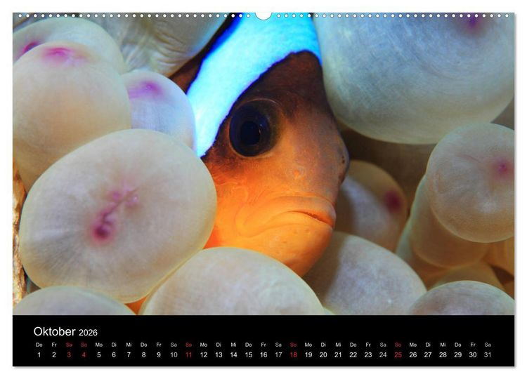 Produktbild: Bilder der Tiefe 2026 (hochwertiger Premium Wandkalender 2026 DIN A2 quer), Kunstdruck in Hochglanz