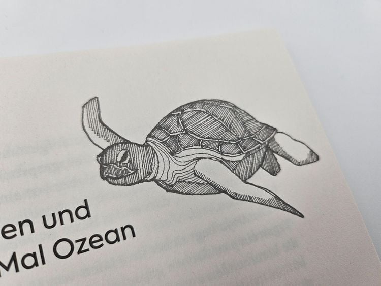 Produktbild: Segeljungs
