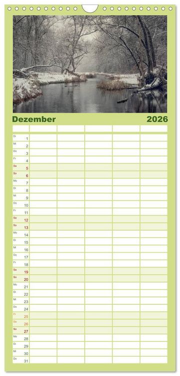 Produktbild: Familienplaner 2026 - Mysterium Wald mit 5 Spalten (Wandkalender, 21 x 45 cm) CALVENDO