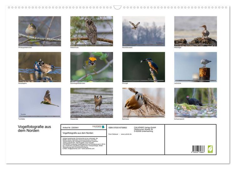 Produktbild: Vogelfotografie aus dem Norden (Wandkalender 2027 DIN A2 quer), CALVENDO Monatskalender