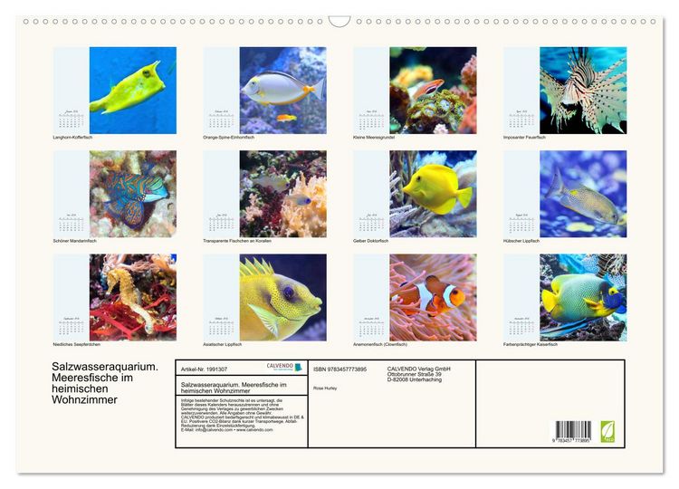 Produktbild: Salzwasseraquarium. Meeresfische im heimischen Wohnzimmer (Wandkalender 2026 DIN A2 quer), CALVENDO Monatskalender