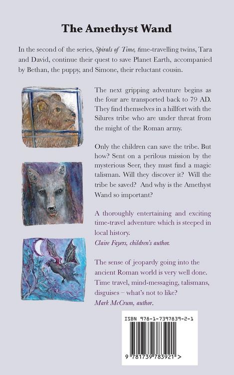 Produktbild: The Amethyst Wand