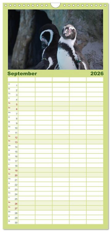 Produktbild: Familienplaner 2026 - Pinguine 2026 mit 5 Spalten (Wandkalender, 21 x 45 cm) CALVENDO