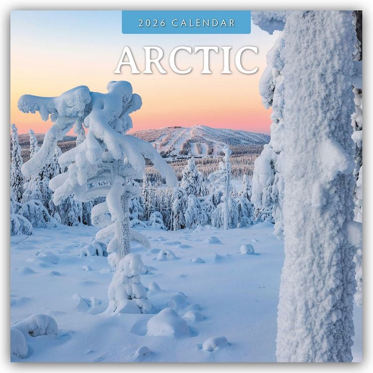 Produktbild: Arctic – Arktis 2026 – 16-Monatskalender