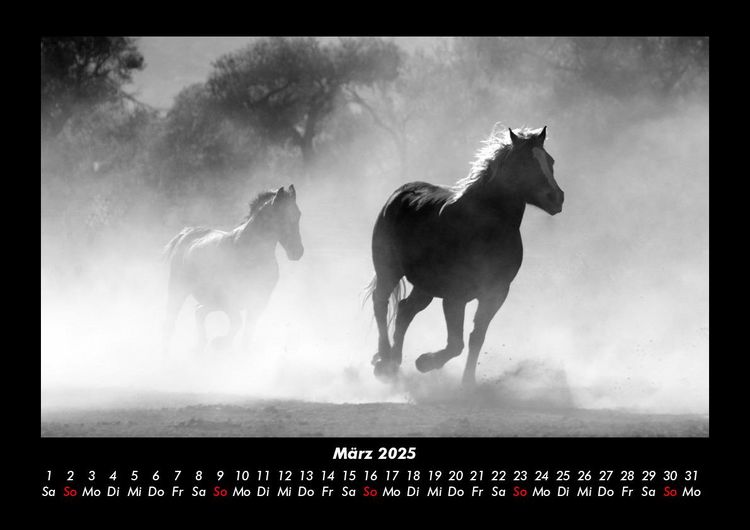 Produktbild: Pferde Kalender 2025 Fotokalender DIN A3
