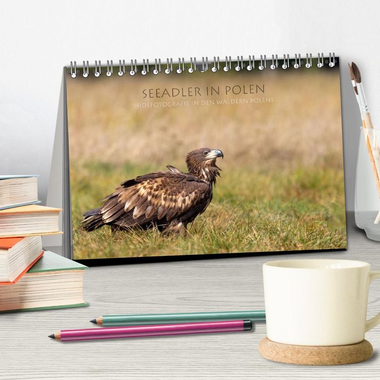 Produktbild: Seeadler in Polen (Tischkalender 2026 DIN A5 quer), CALVENDO Monatskalender