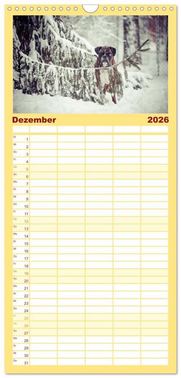 Produktbild: Familienplaner 2026 - Deutscher Boxer 2026 mit 5 Spalten (Wandkalender, 21 x 45 cm) CALVENDO